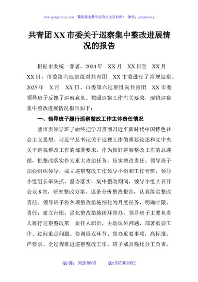 共青团XX市委关于巡察集中整改进展情况的报告