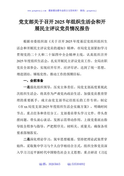 党支部关于召开2025年组织生活会和开展民主评议党员情况报告