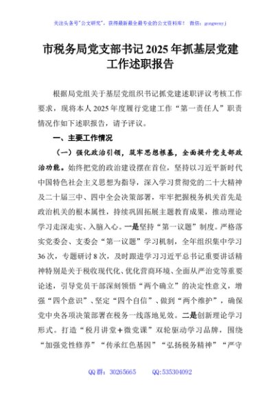 市税务局党支部书记2025年抓基层党建工作述职报告