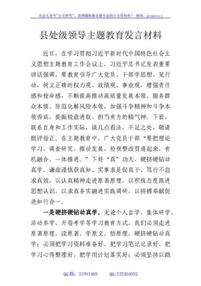 县处级领导主题教育发言材料2