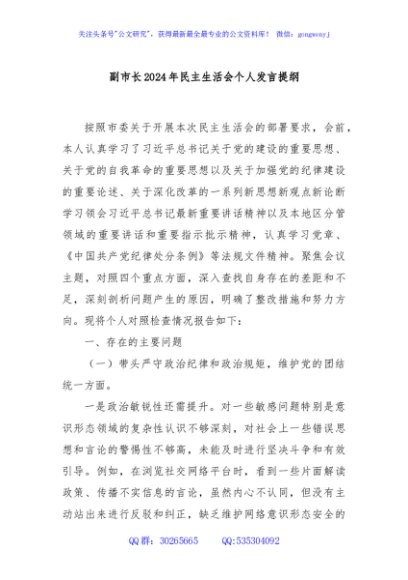 副市长2024年民主生活会个人发言提纲