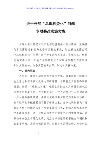 关于开展总部机关化问题专项整改实施方案