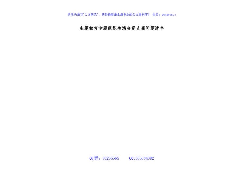 主题教育专题组织生活会党支部问题清单