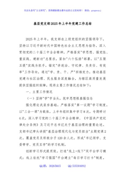 基层党支部2025年上半年党建工作总结