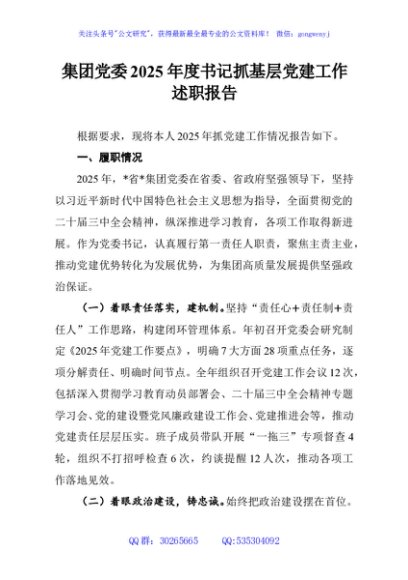 集团党委2025年度书记抓基层党建工作述职报告