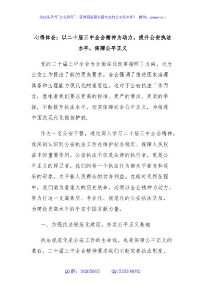 心得体会：以二十届三中全会精神为动力，提升公安执法水平，保障公平正义