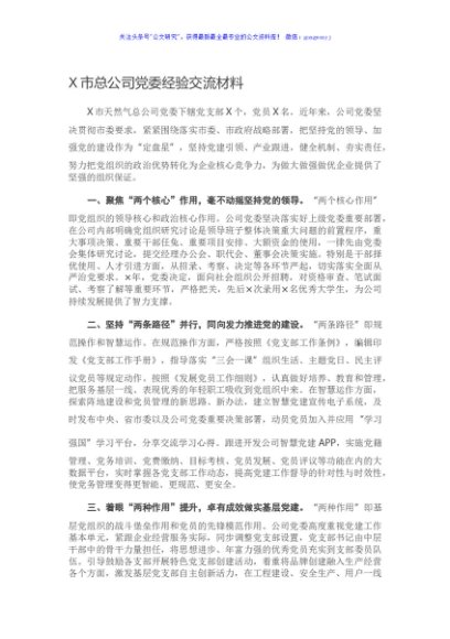 X市总公司党委经验交流材料