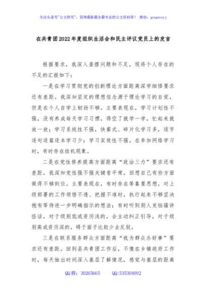 在共青团2022年度组织生活会和民主评议党员上的发言.
