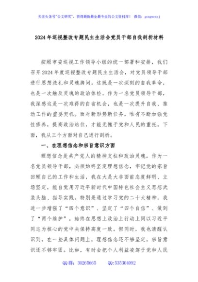2024年巡视整改专题民主生活会党员干部自我剖析材料