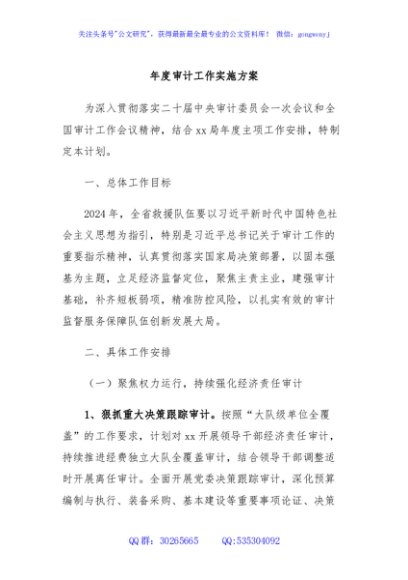 年度审计工作实施方案