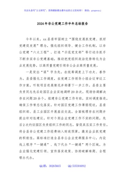 2024年非公党建工作半年总结报告