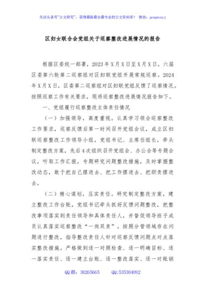 区妇女联合会党组关于巡察整改进展情况的报告