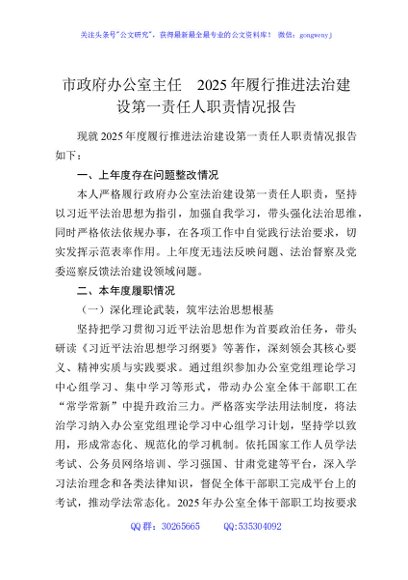 市政府办公室主任2025年履行推进法治建设第一责任人职责情况报告