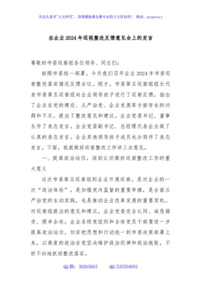在企业2024年巡视整改反馈意见会上的发言