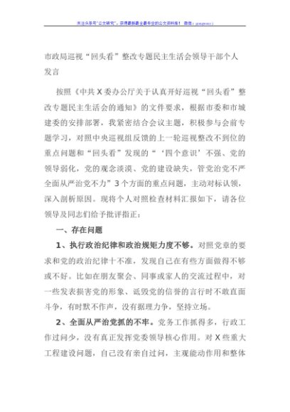 市政局巡视“回头看”整改专题民主生活会领导干部个人发言