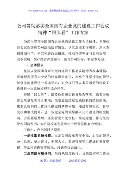 公司贯彻落实全国国有企业党的建设工作会议精神“回头看”工作方案