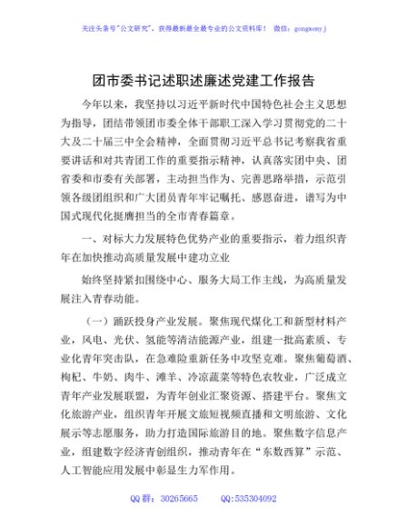 团市委书记述职述廉述党建工作报告2900字