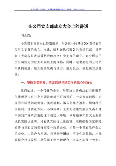 在公司党支部成立大会上的讲话
