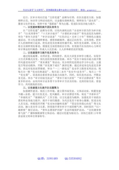 党建品牌创建工作材料：强化“五彩党建”品牌引领提升队伍战斗力（区审计局）