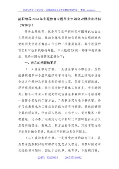 副职领导2023年主题教育专题民主生活会对照检查材料