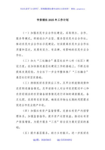 市供销社2025年工作计划