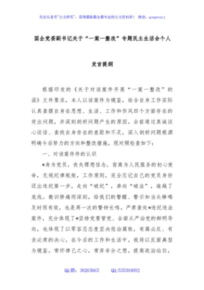 国企党委副书记关于“一案一整改”专题民主生活会个人发言提纲