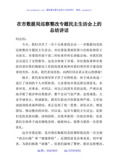 在市数据局巡察整改专题民主生活会上的总结讲话