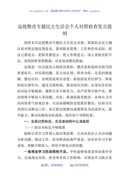 巡视整改专题民主生活会个人对照检查发言提纲