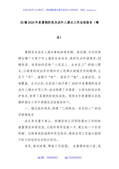 XX镇2025年度暑期防范未成年人溺水工作总结报告（精品）