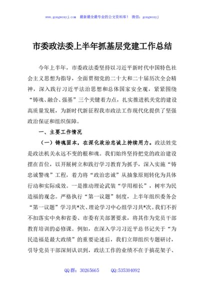 市委政法委上半年抓基层党建工作总结