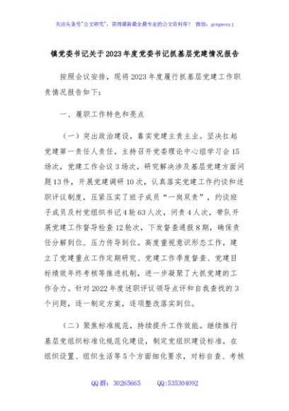 镇党委书记关于2023年度党委书记抓基层党建情况报告
