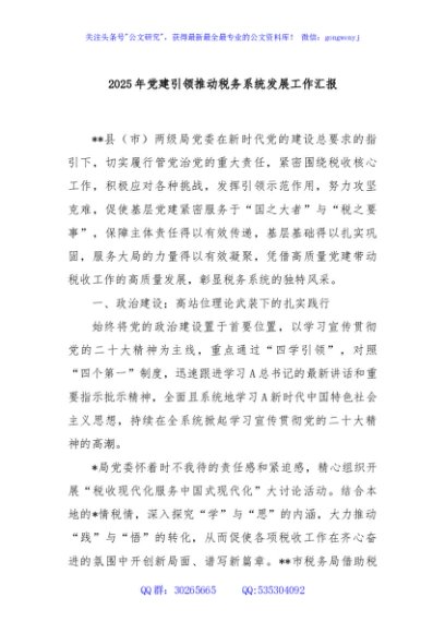 2025年党建引领推动税务系统发展工作汇报