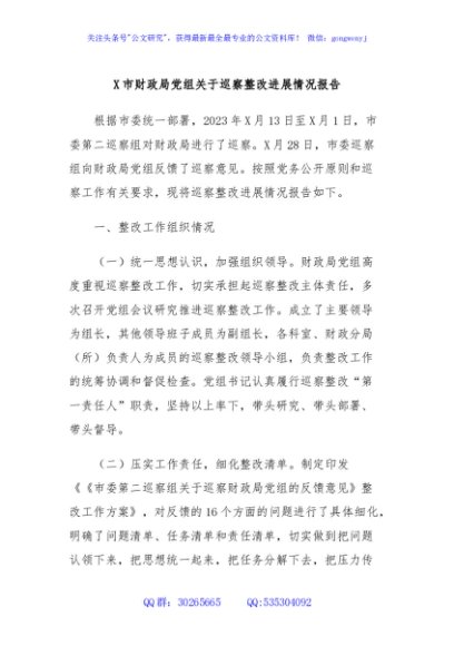 X市财政局党组关于巡察整改进展情况报告