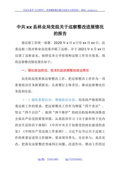 县局党组关于巡察整改进展情况的报告