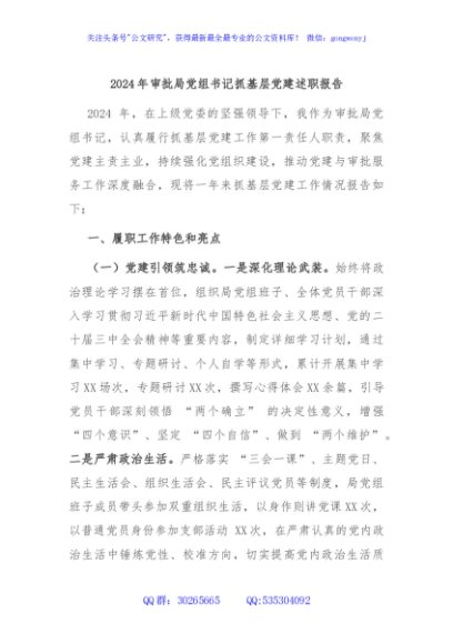 2024年审批局党组书记抓基层党建述职报告