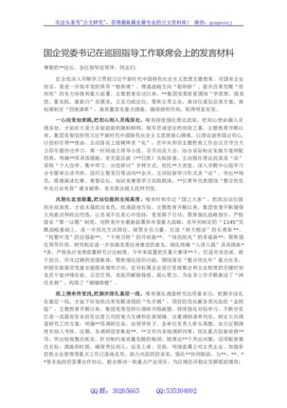 国企党委书记在巡回指导工作联席会上的发言材料