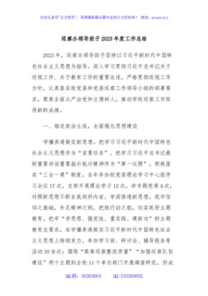巡察办领导班子2023年度工作总结