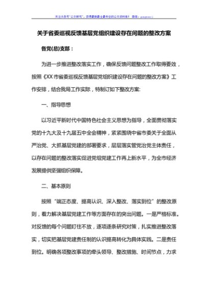 关于省委巡视反馈基层党组织建设存在问题的整改方案
