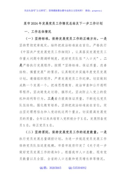 某市2024年发展党员工作情况总结及下一步工作计划