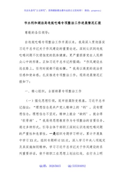 市水利和湖泊局违规吃喝专项整治工作进展情况汇报