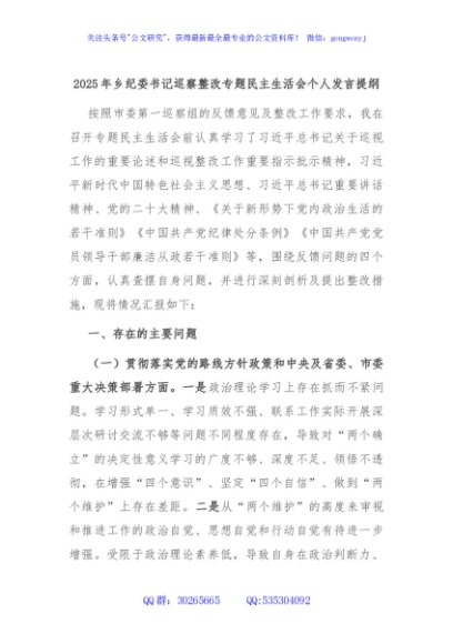 2025年乡纪委书记巡察整改专题民主生活会个人发言提纲