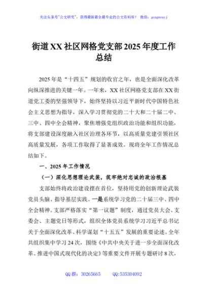 街道XX社区网格党支部2025年度工作总结