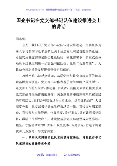 国企书记在党支部书记队伍建设推进会上的讲话
