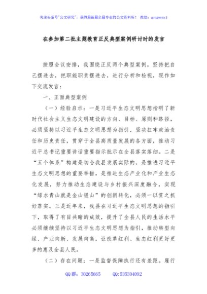 在参加第二批主题教育正反典型案例研讨时的发言