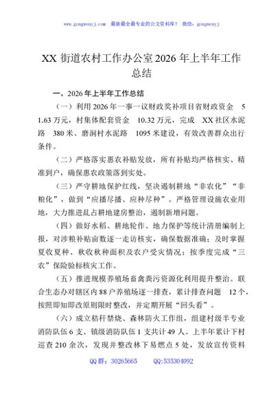 XX街道农村工作办公室2026年上半年工作总结