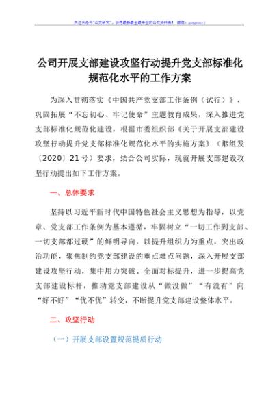 公司开展支部建设攻坚行动提升党支部标准化规范化水平的工作方案