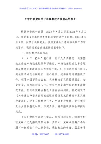 X市妇联党组关于巡察整改进展情况的报告