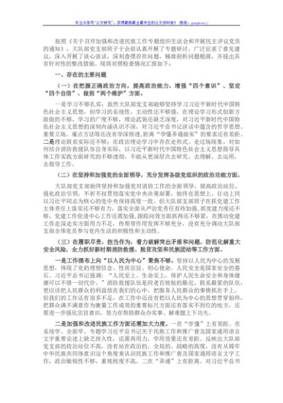 加强和改进民族工作专题组织生活会党支部班子检视材料