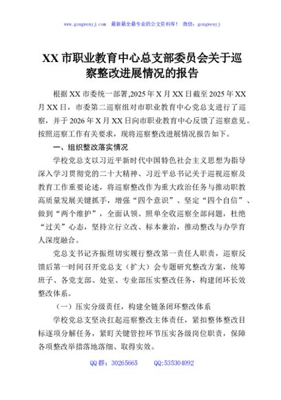 XX市职业教育中心总支部委员会关于巡察整改进展情况的报告