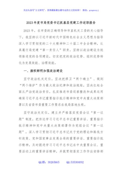 2023年度市局党委书记抓基层党建工作述职报告